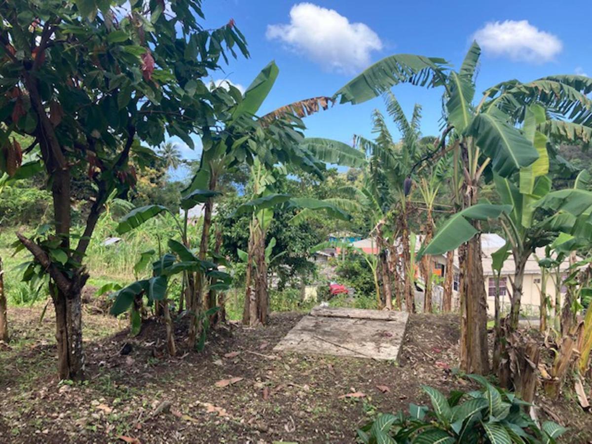 Stunning 2-Bed Apartment In Grand Roy Grenada Mount Nesbit 外观 照片
