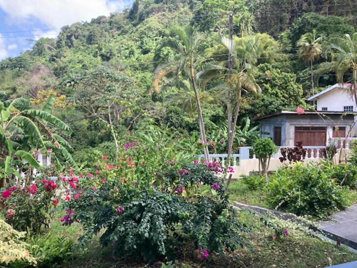 Stunning 2-Bed Apartment In Grand Roy Grenada Mount Nesbit 外观 照片